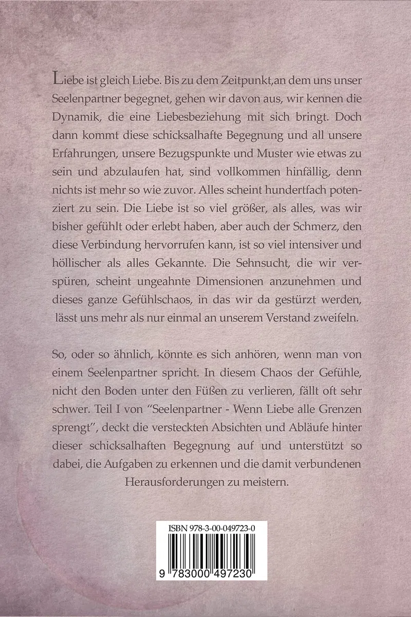 Seelenpartner - wenn Liebe alle Grenzen sprengt: Aufgaben erkennen, annehmen und den Weg für eine gemeinsame Zukunft ebnen