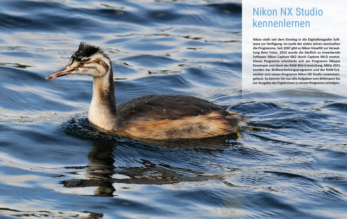Nikon NX Studio: Das Praxisbuch für perfekte Fotos