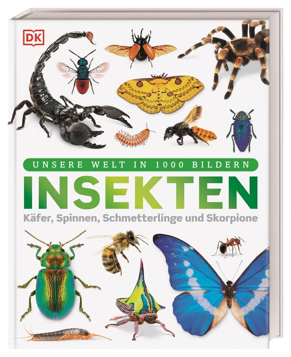 Unsere Welt in 1000 Bildern. Insekten: Käfer, Spinnen, Schmetterlinge und Skorpione. Die Welt der Gliederfüßer einfach erklärt. Für Kinder ab 8 Jahren