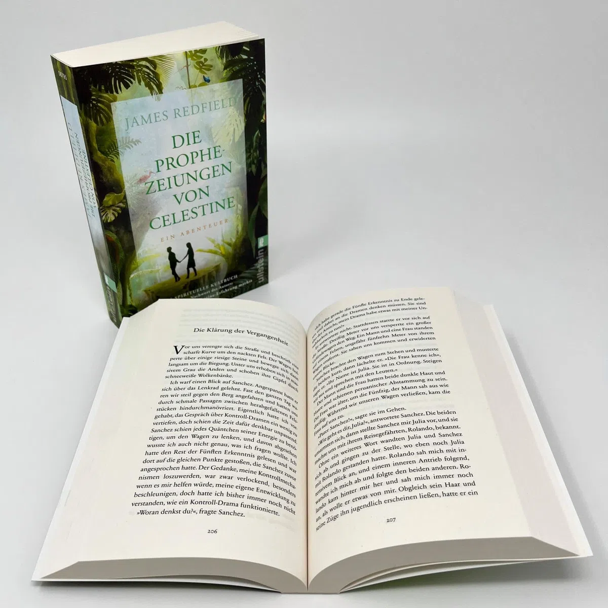 Die Prophezeiungen von Celestine: Ein Abenteuer. Das spirituelle Kultbuch | Neues Nachwort: Wie du deine eigene Celestine-Erfahrung machst