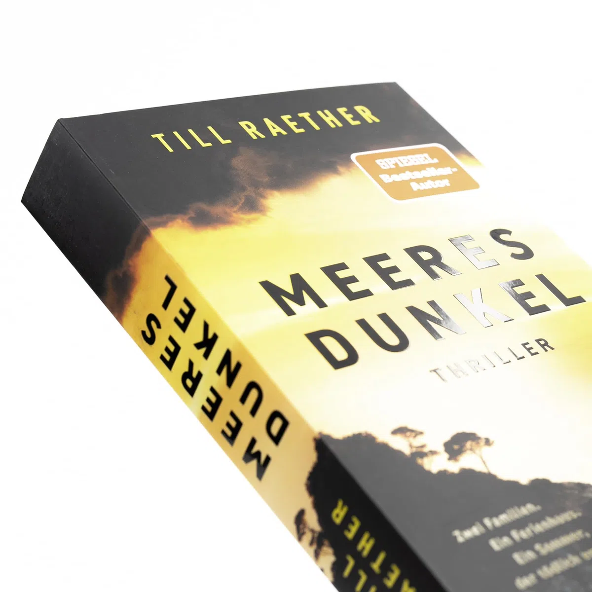 Meeresdunkel: Zwei Familien. Ein Ferienhaus. Ein Sommer, der tödlich endet. | SPIEGEL Bestseller