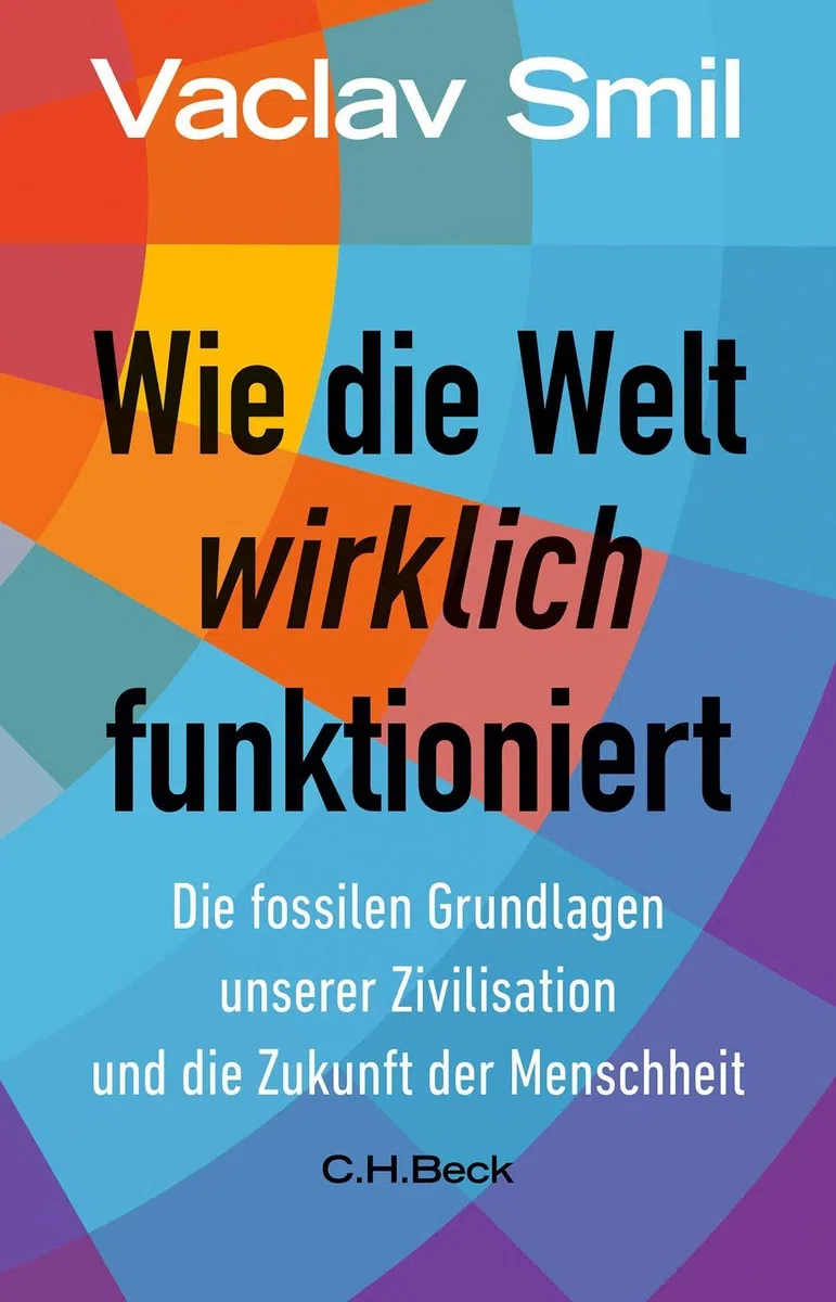Wie die Welt wirklich funktioniert: Die fossilen Grundlagen unserer Zivilisation und die Zukunft der Menschheit (Beck Paperback)