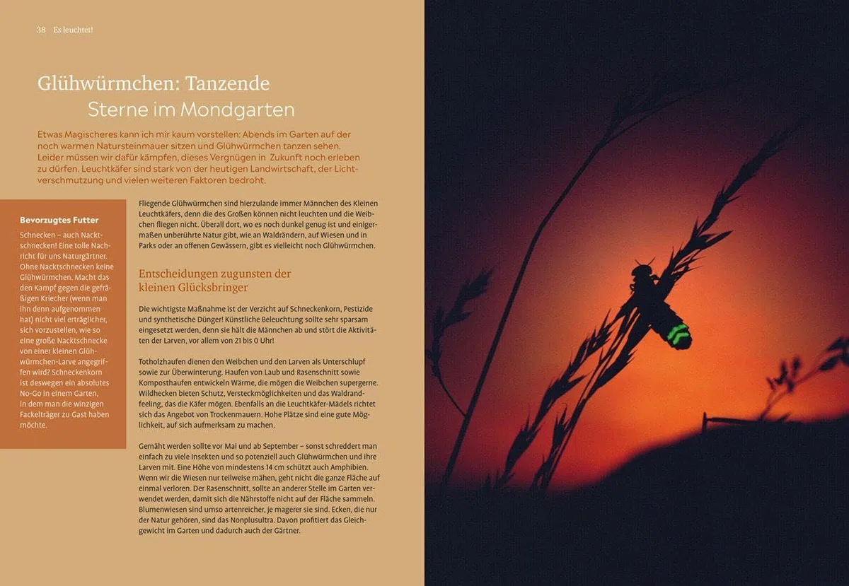 Der Nachtgarten: Pflanzen und Beete, die duften, leuchten und die Nacht beleben