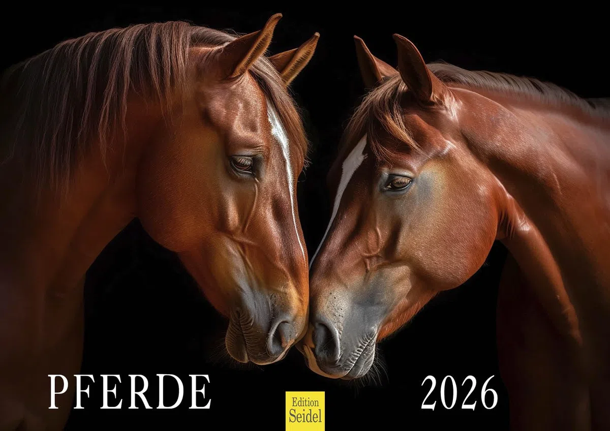 Edition Seidel Premium Kalender Pferde 2026 Format DIN A3 Wandkalender Pferdekalender Pferd Tiere Fohlen Stute Hengst