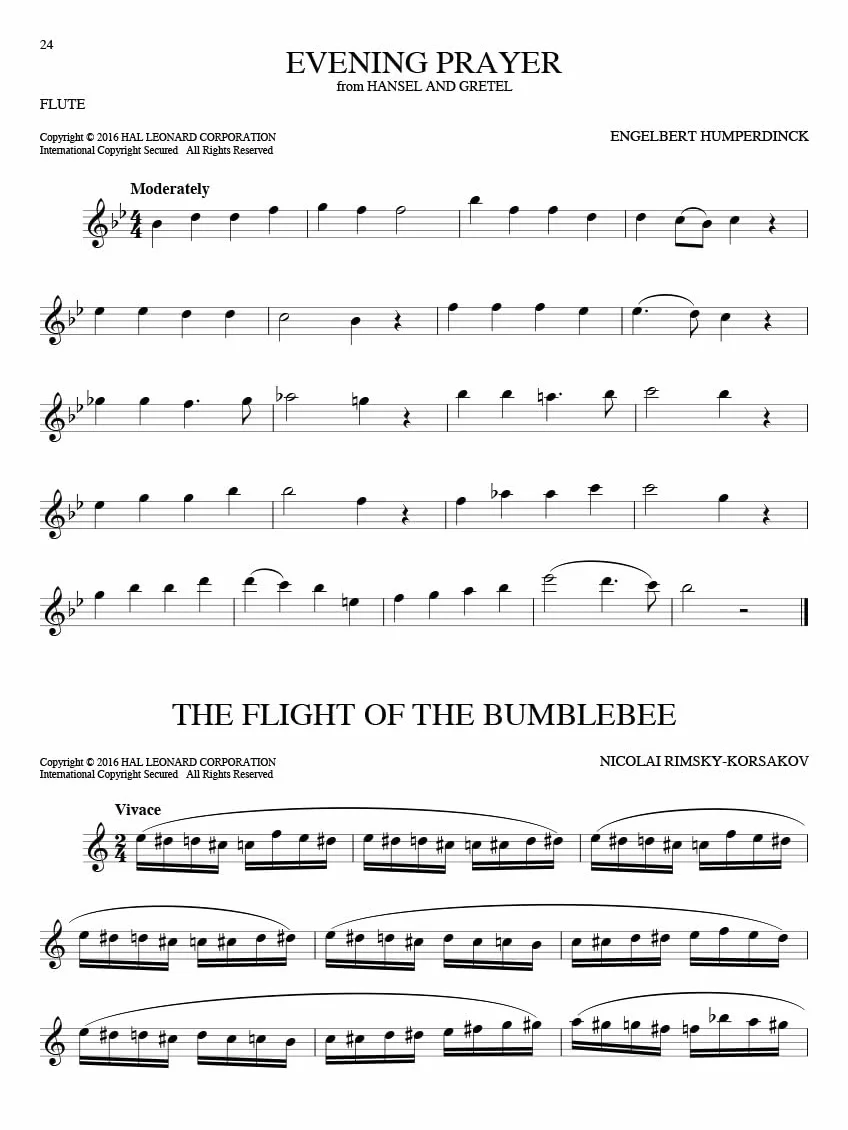 101 Classical Themes: Flute | Flötensolo Notenbuch mit berühmten klassischen Werken von Bach, Mozart | Liederbuch für Übung und Aufführung | Songbook ... Noten, Sammelband für Flöte (FLUTE TRAVERSIE)