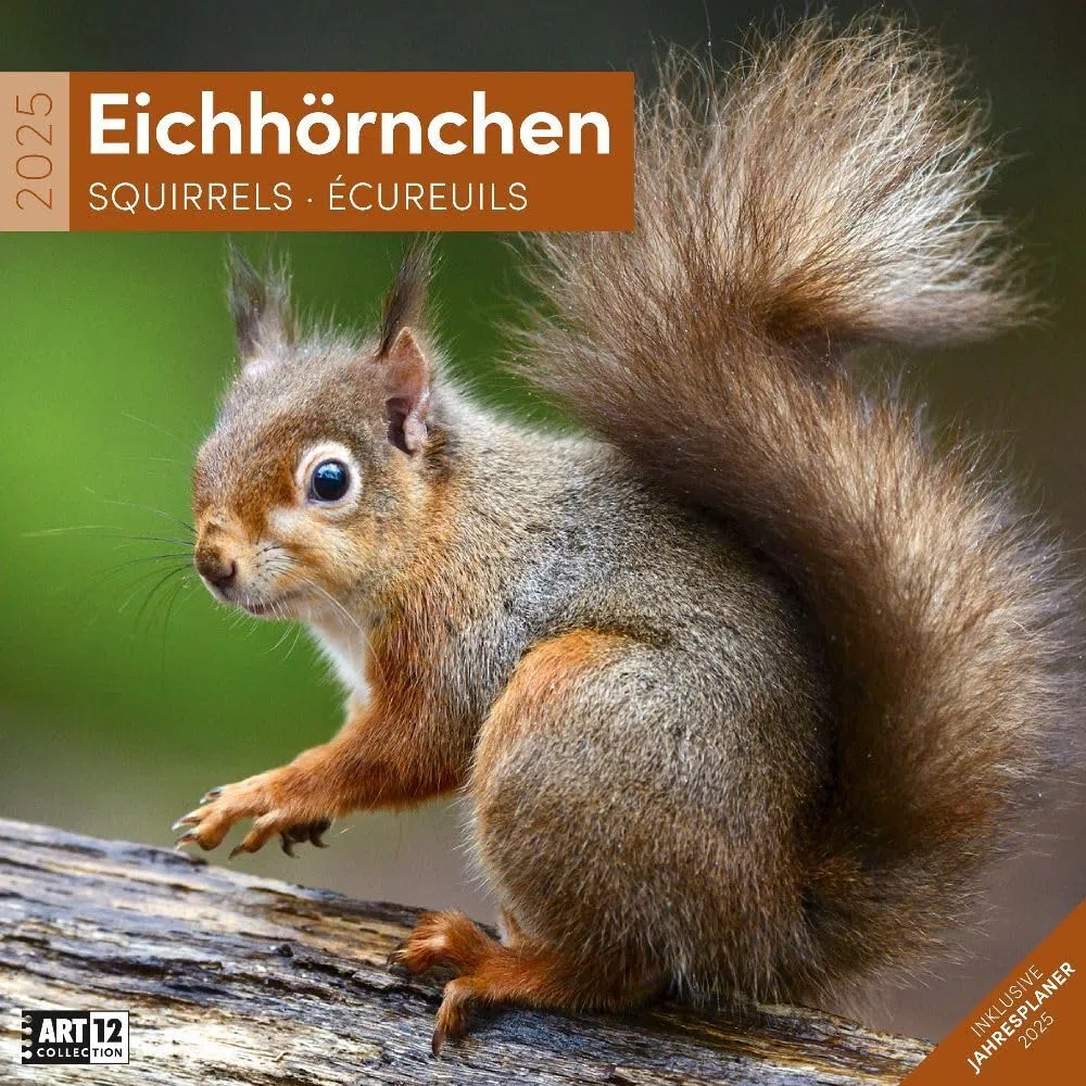 Eichhörnchen 2025, Wandkalender / Broschürenkalender im Hochformat (aufgeklappt 30x60 cm) - Art12 - Geschenk-Kalender mit Monatskalendarium zum Eintragen