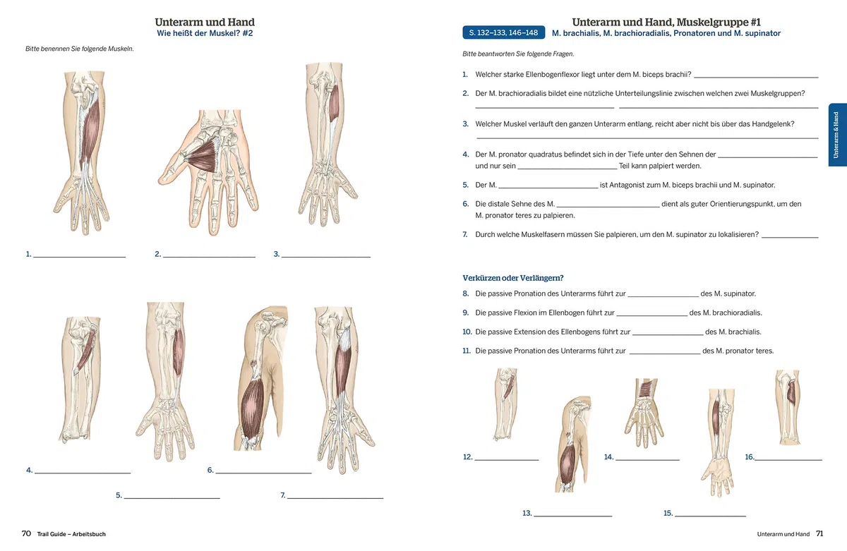 Trail Guide Arbeitsbuch: Eine praxisorientierte Lernhilfe für die Anatomie