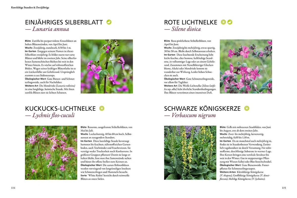 Wild & bunt: Naturnahe Gärten mit heimischen Pflanzen gestalten. Mit 20 Musterbeeten für echte Naturgärten