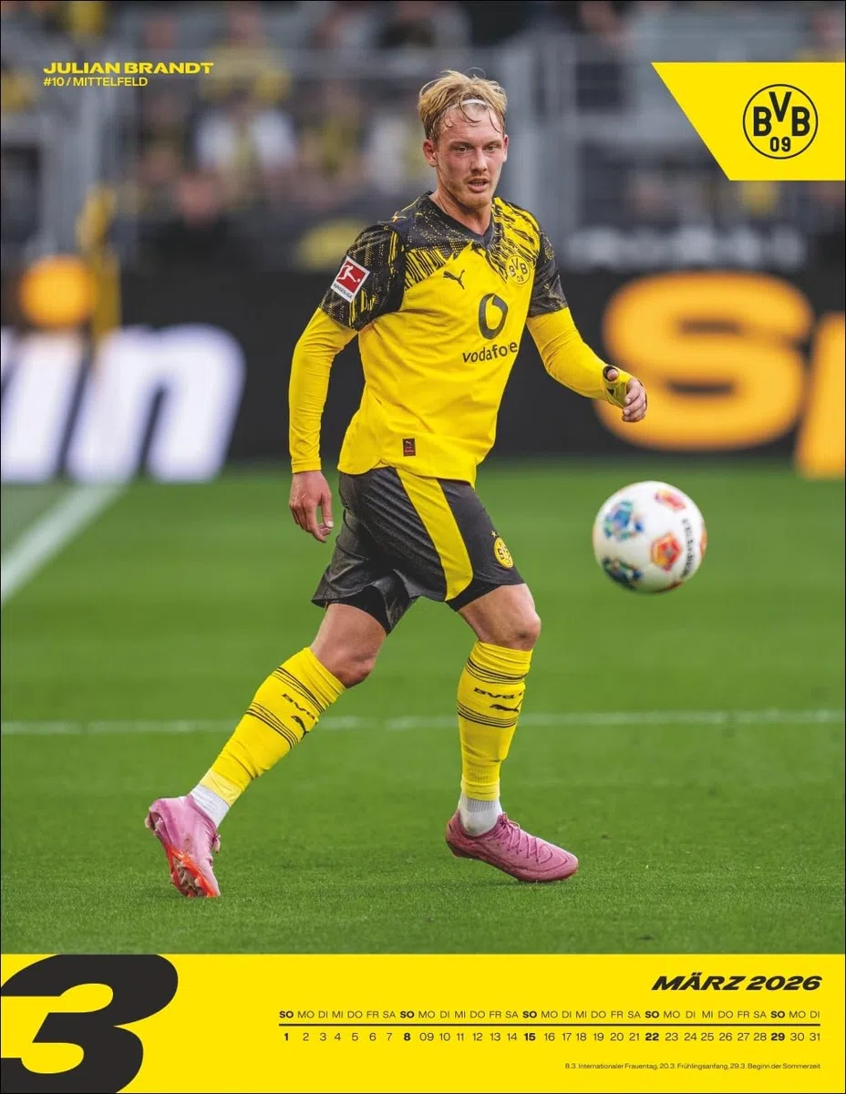 BVB Posterkalender 2026: Jahres-Wandkalender 2026 für Fußballfans. Fotokalender mit den Stars von Borussia Dortmund. Kalender im Hochformat 34 x 44 cm. (Bundesliga Kalender Heye)