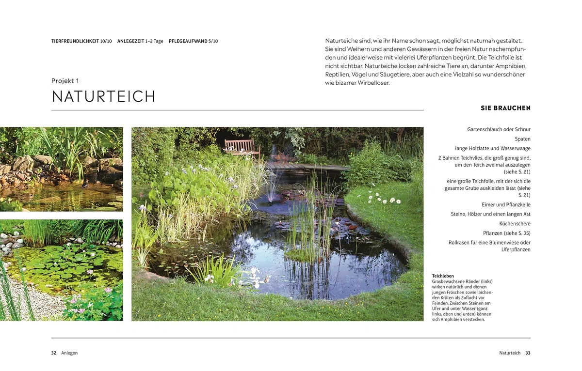Leben am Gartenteich: Einen Teich planen, anlegen und Tiere und Pflanzen beobachten