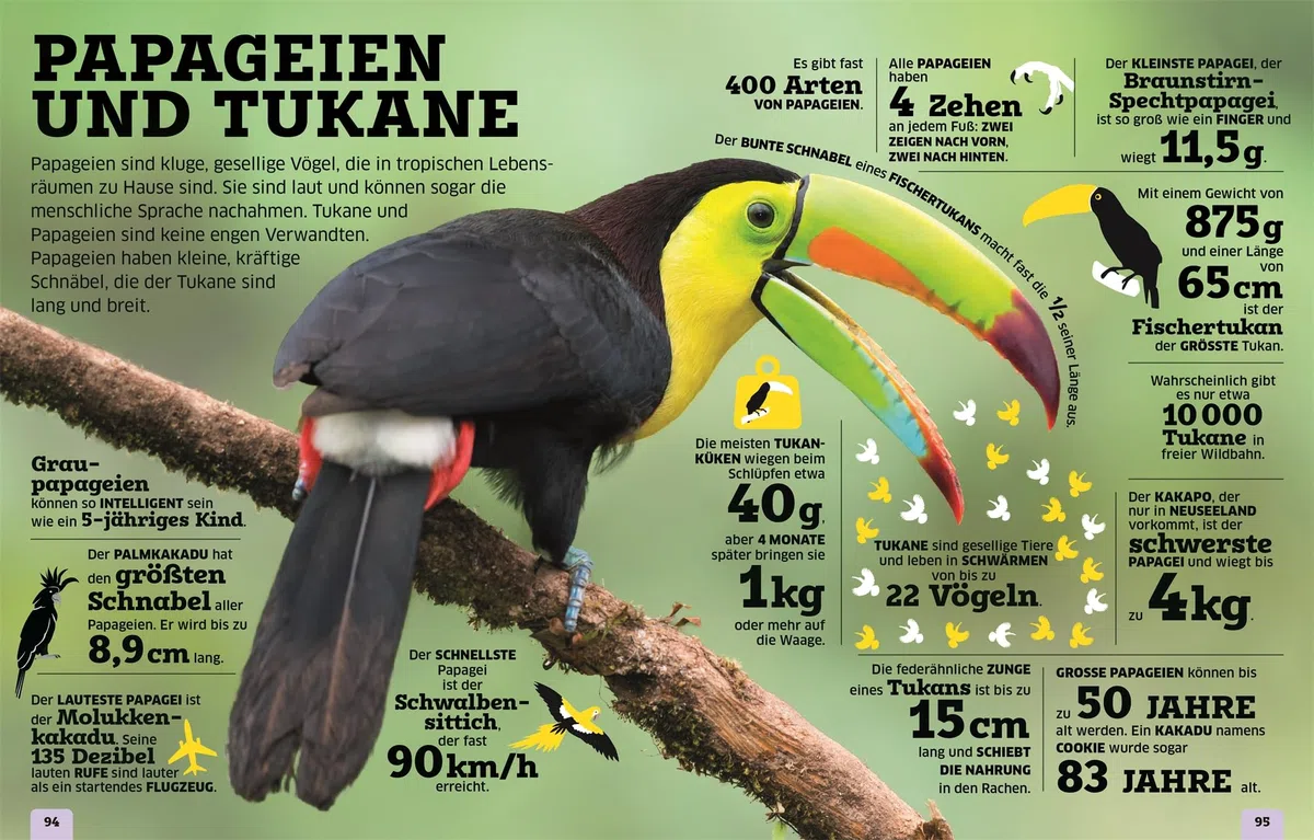 Unsere Welt in Zahlen. Tiere: Ein verrücktes Rekorde-Buch mit über 1000 Fakten zum Staunen. Wissensbuch. Für Kinder ab 8 Jahren