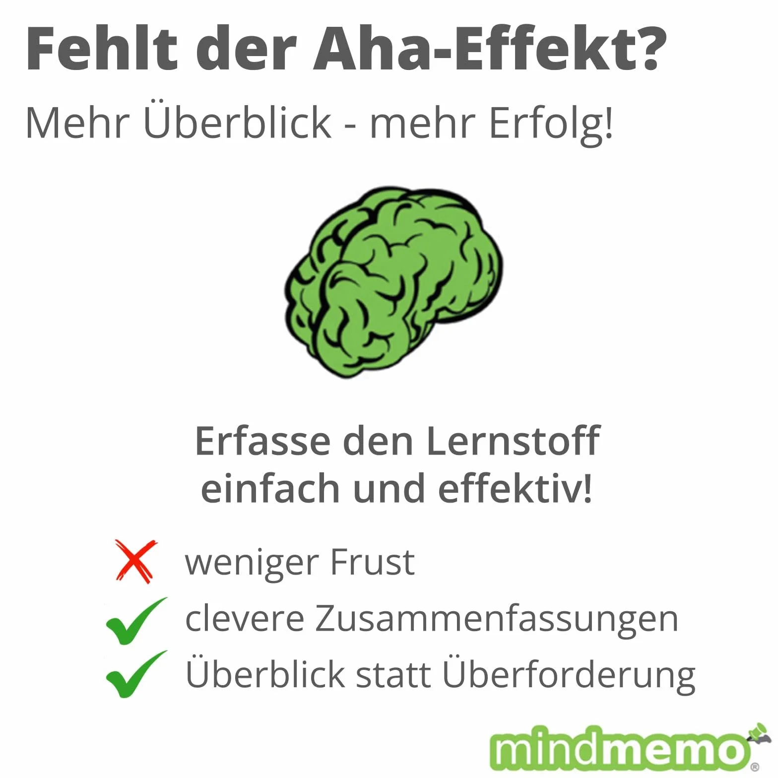 mindmemo Lernposter - Die französischen Wortarten lernen Grammatik verständlich erklärt Lernhilfe kompakt Zusammenfassung Poster DIN A2 42x59 cm ... ... DIN A2 42x59 cm PremiumEdition in Schutzröhre