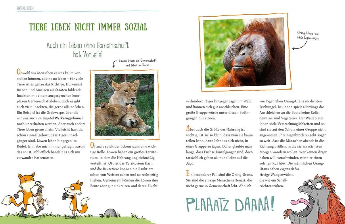 Wie Tiere denken und fühlen: Sachbuch für Kinder ab 9 Jahre; Wissensbuch des Jahres 2019