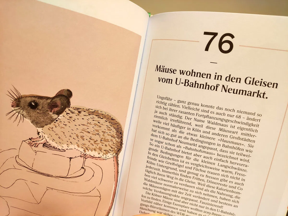 Kölner Tiere: Ein kleiner Guide für Naturbanausen und Stadtkinder