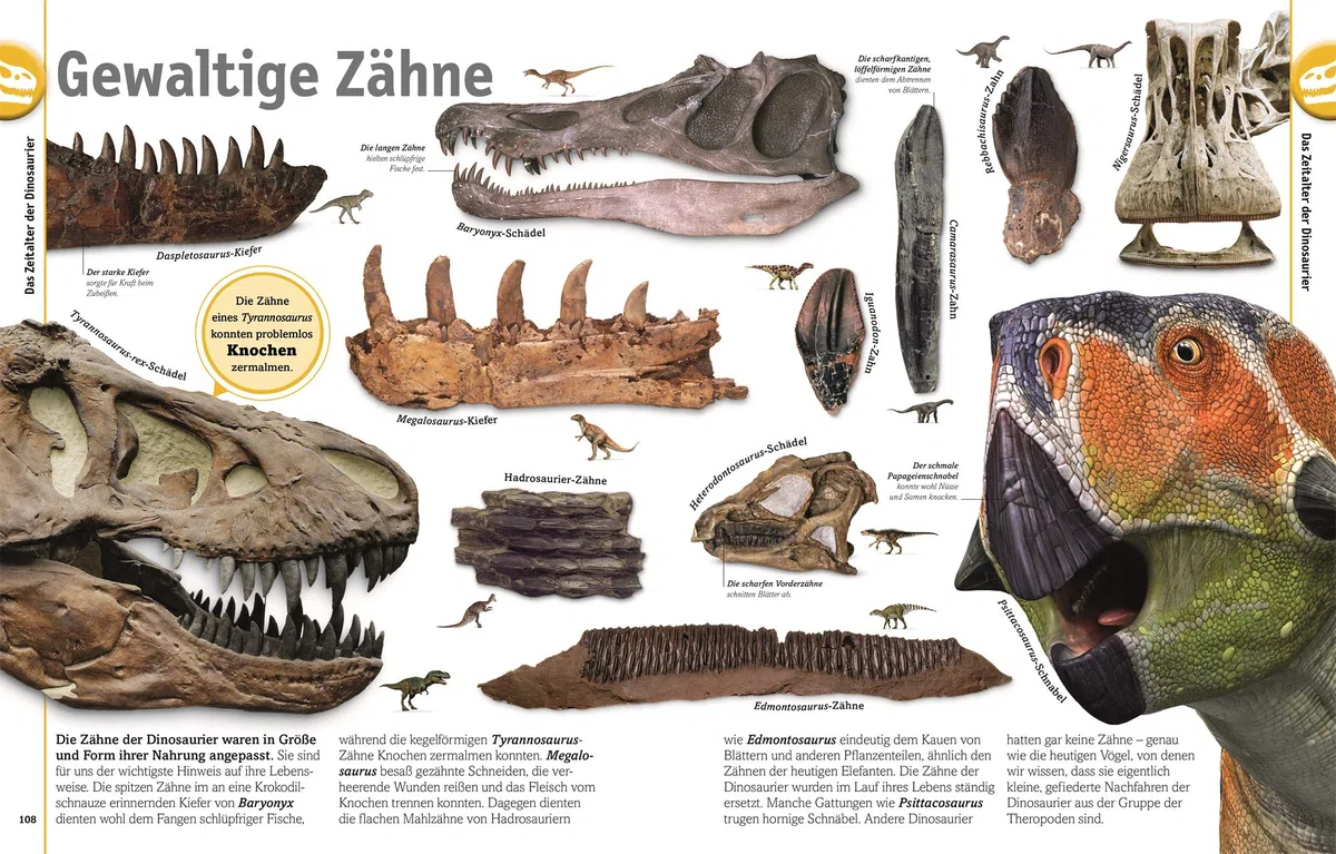 Unsere Welt in 1000 Bildern. Dinosaurier: Lebewesen und Fossilien der Urzeit. Dinos spektakülar und reich bebildert erklärt. Für Kinder ab 7 Jahren