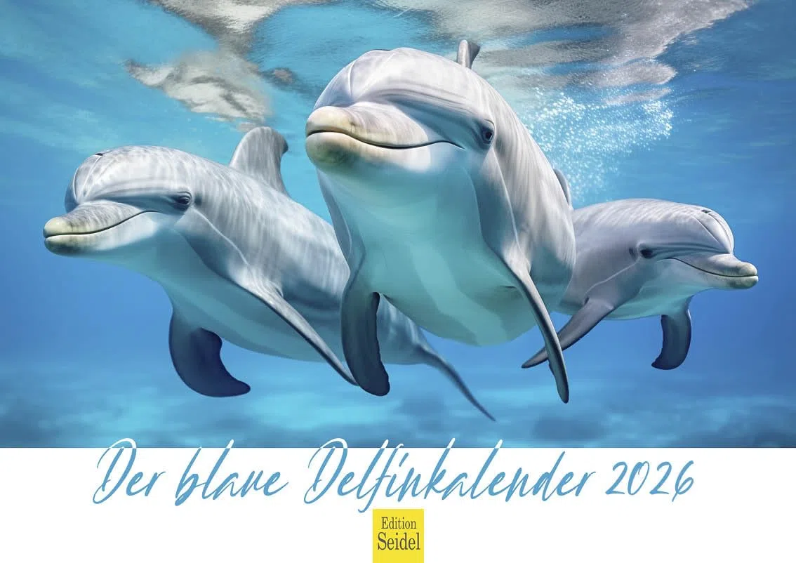 Edition Seidel Premium Kalender Der blaue Delfinkalender 2026 Format DIN A4 Wandkalender Tierkalender Delfin Delfine Säugetiere Meere Ozean