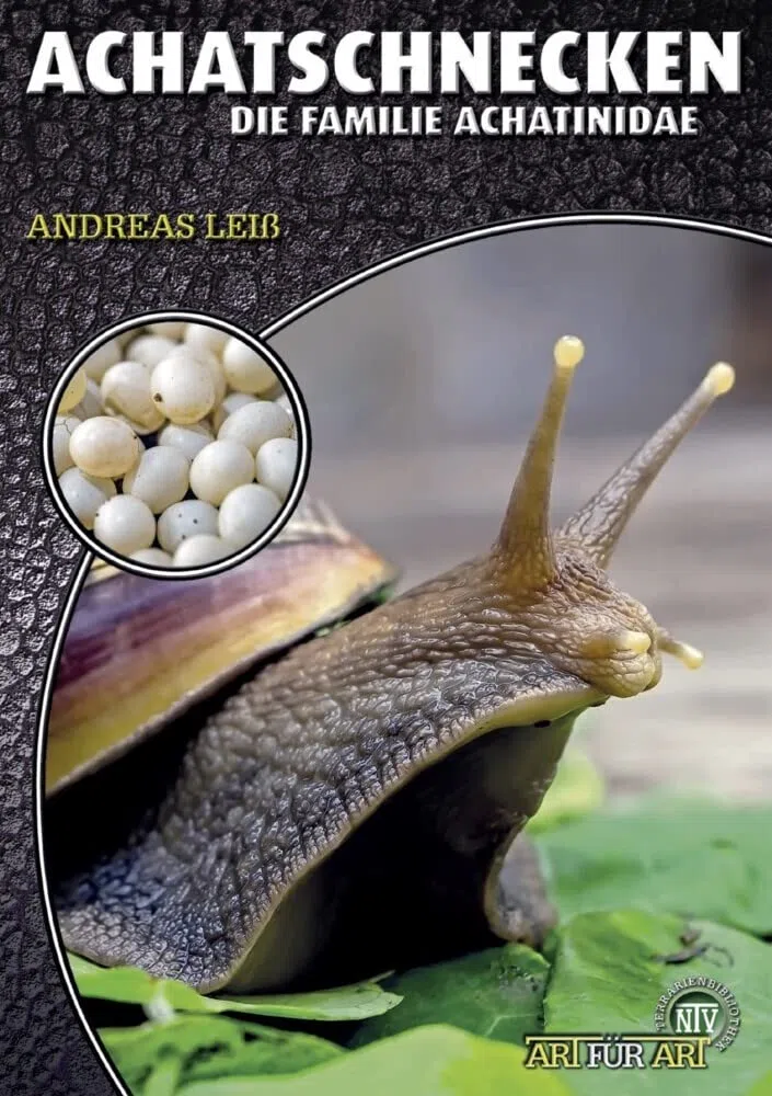 Achatschnecken: Die Familie Achatinidae (Buchreihe Art für Art Terraristik)