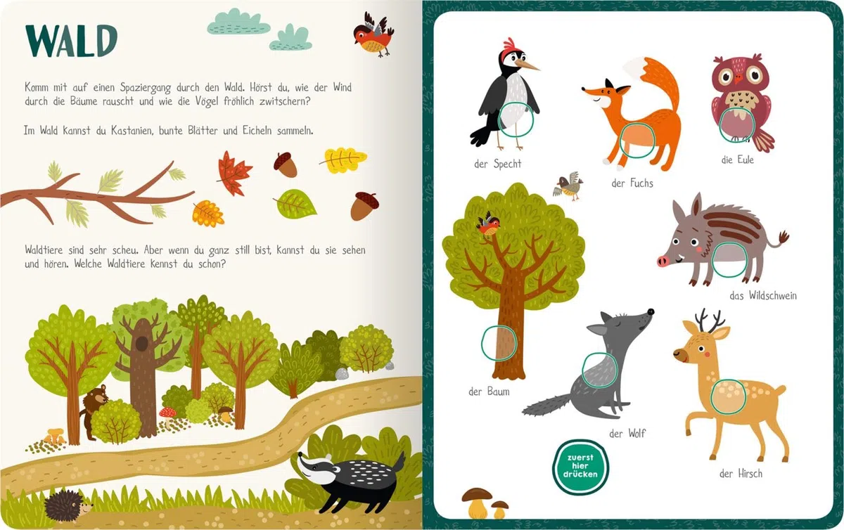 Mein sprechendes Soundbuch – Erste Wörter: 50 Wörter & Geräusche | Hochwertiges Soundbuch mit gesprochenen Wörtern und dazugehörigen Sounds für Kinder ab 24 Monaten (Mein großes Geräuschebuch)