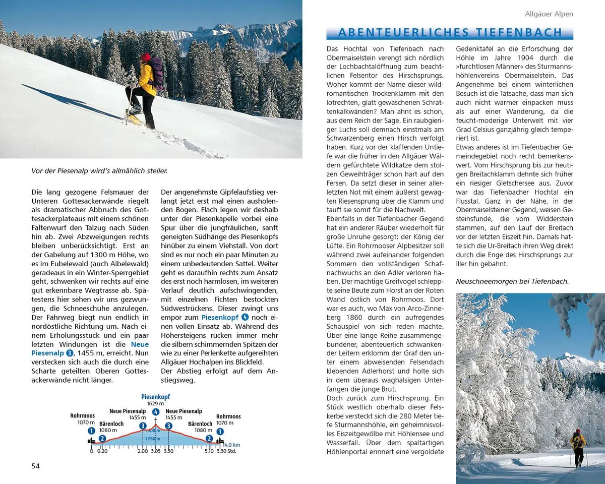 Wandern im Winter - Allgäuer Alpen: 50 Wander- und Schneeschuhtouren. Mit GPS-Tracks (Rother Wanderbuch)