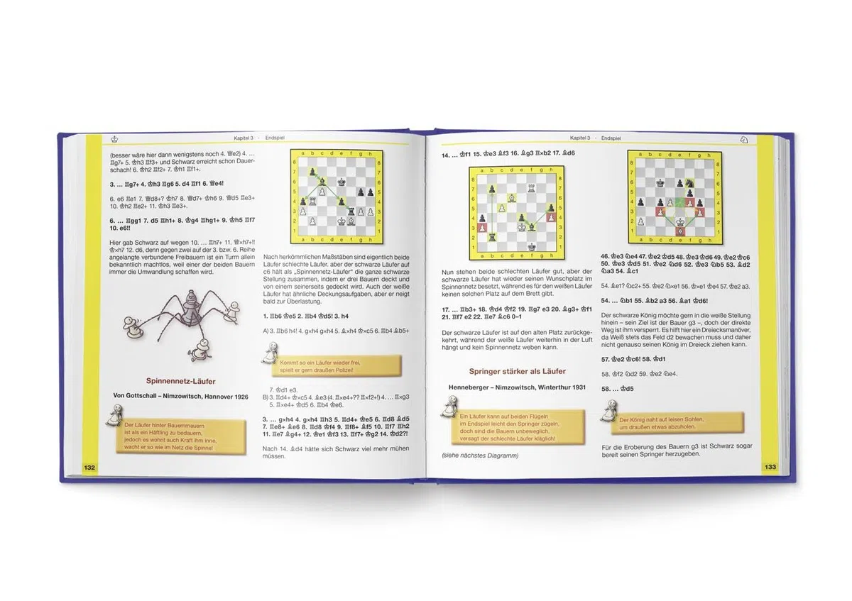 Starke Bauernregeln: Die ungeschriebenen Gesetze des Schachspiels in über 200 gereimten Eselsbrücken und Faustregeln. Das Buch zur DVD von ChessBase (Praxis Schach, Band 80)
