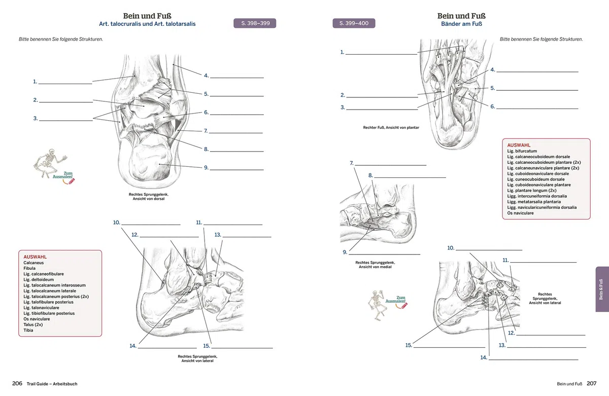 Trail Guide Arbeitsbuch: Eine praxisorientierte Lernhilfe für die Anatomie