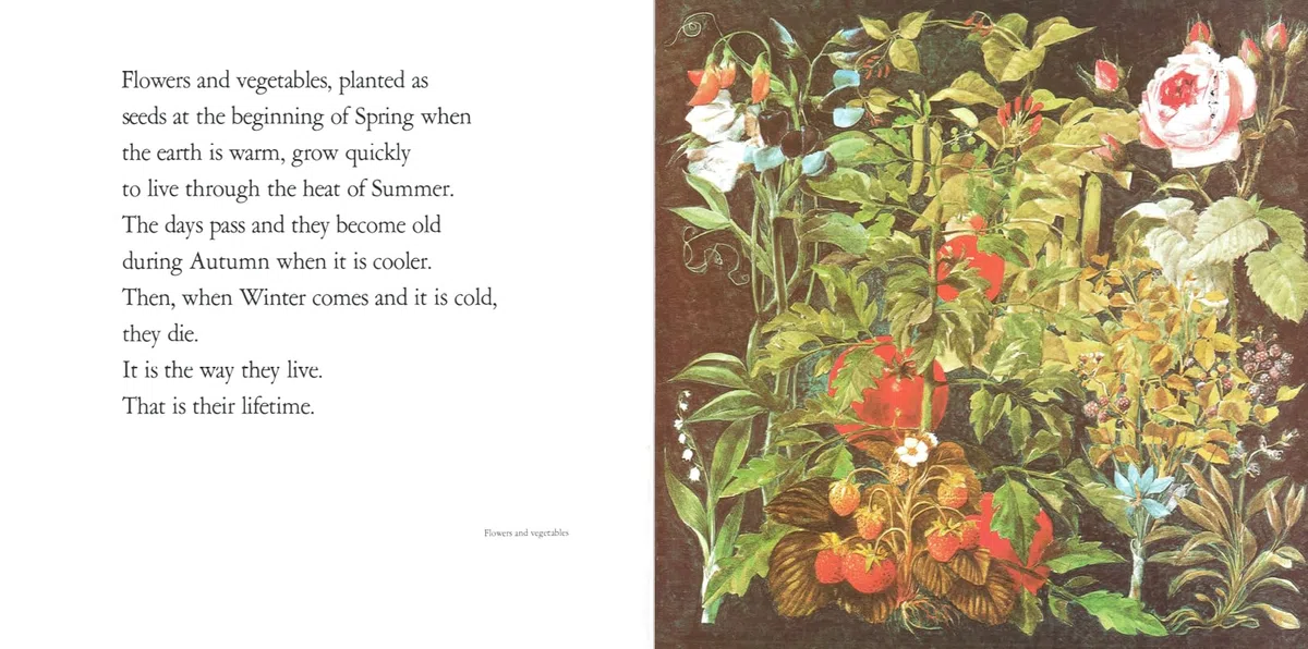 Lifetimes: The Beautiful Way to Explain Death to Children
