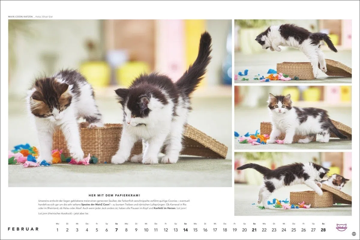 Whiskas Katzenkalender 2027: Foto-Wandkalender mit süßen Katzen und lustigen Geschichten. Wandkalender 2027 in schönem Design. Bildkalender 2027. Querformat 45 x 30 cm.