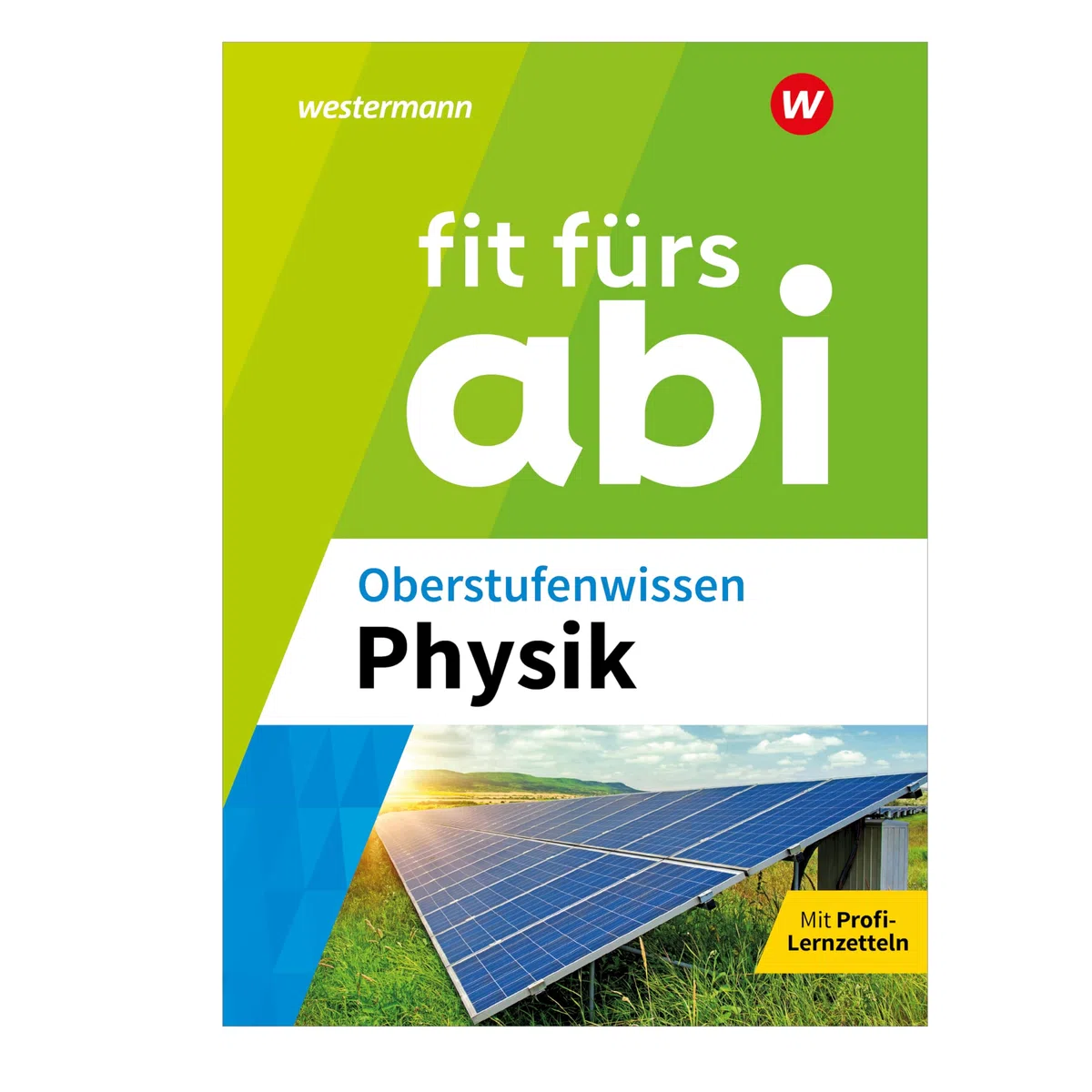 Fit fürs Abi: Oberstufenwissen Physik