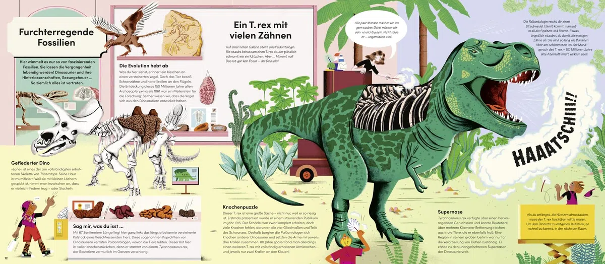 Im Museum bei Nacht: Spannendes Sachbuch für Kinder ab 8 Jahren