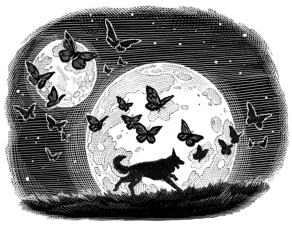 Fairy Tale: Roman - Durchgehend illustrierte Ausgabe (33 schwarz-weiße Bilder und zwei vierfarbige Tafeln)