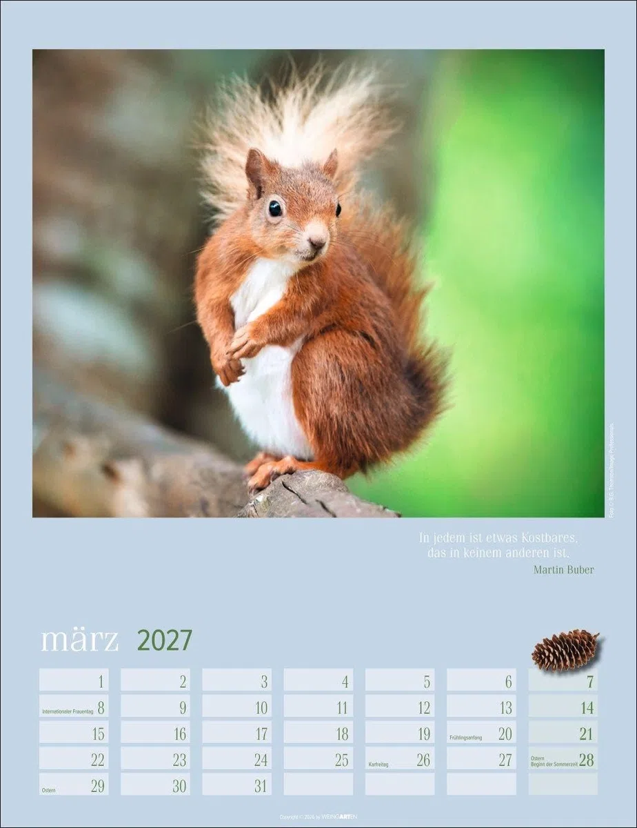 Eichhörnchen Kalender 2027: Fotokalender zum Aufhängen. Mit süßen Eichhörnchen-Bildern und Zitaten für jeden Monat. Tierkalender mit Platz zum Eintragen. 30 x 39 cm