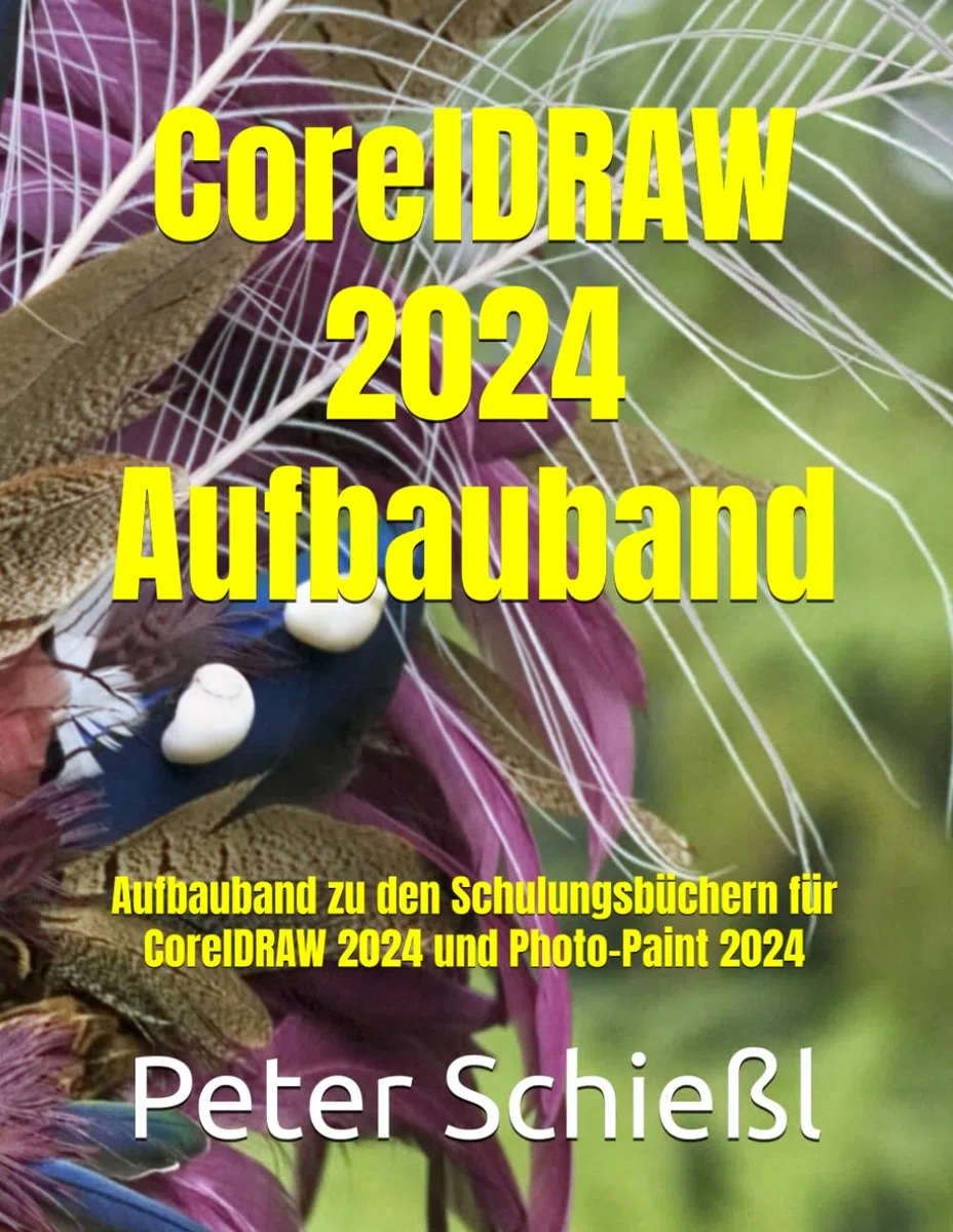 CorelDRAW 2024 Aufbauband - Schulungsbuch mit vielen integrierten Übungen: Aufbauband zu den Schulungsbüchern für CorelDRAW 2024 und Photo-Paint 2024 ... CorelDRAW + Corel Photo-Paint + Aufbauband)