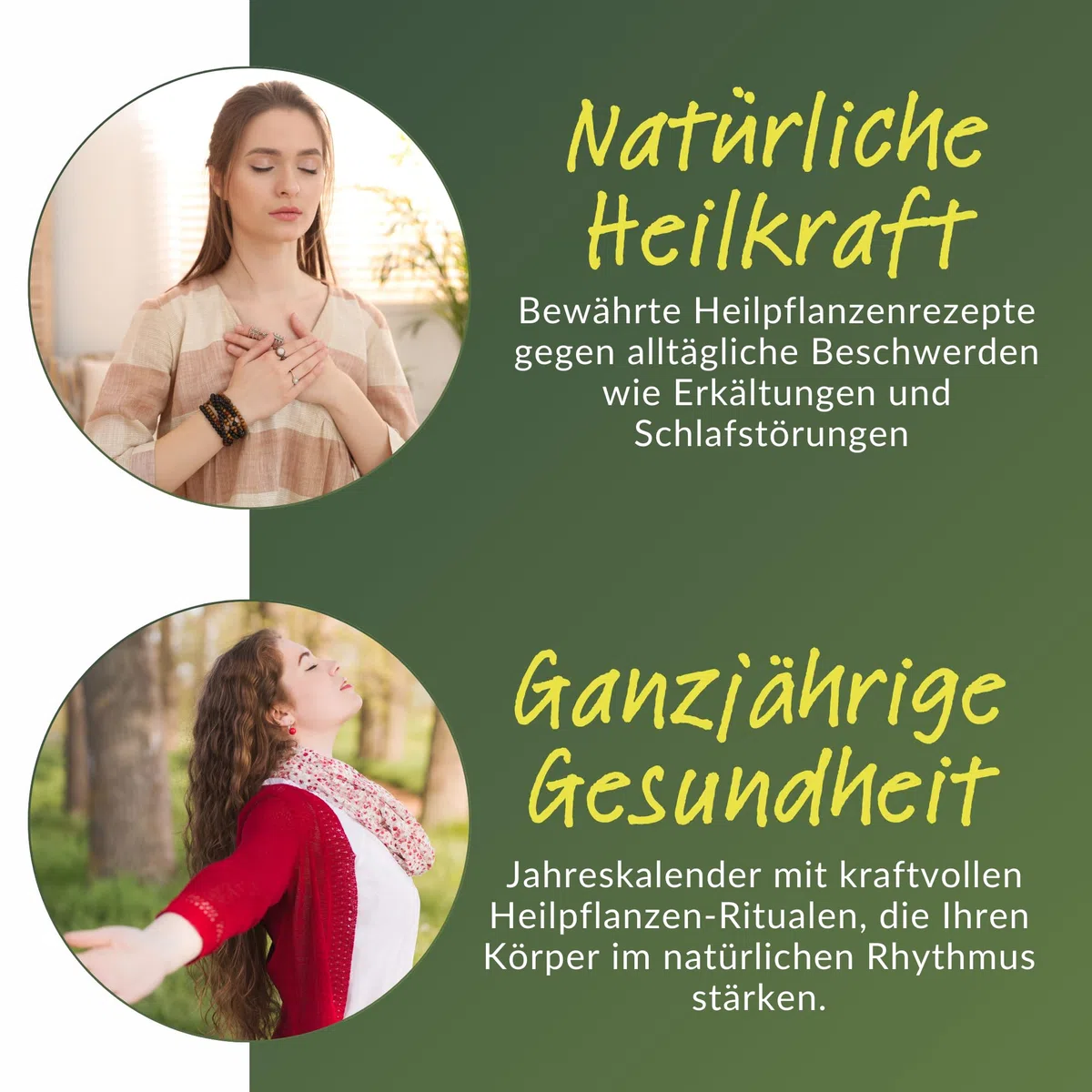 Heilpflanzen Rezepte für den Alltag - 100+ wirkungsvolle Anwendungen für jede Jahreszeit: Wie Sie mit heimischen Kräutern häufige Beschwerden natürlich lindern und Ihre Gesundheit nachhaltig stärken