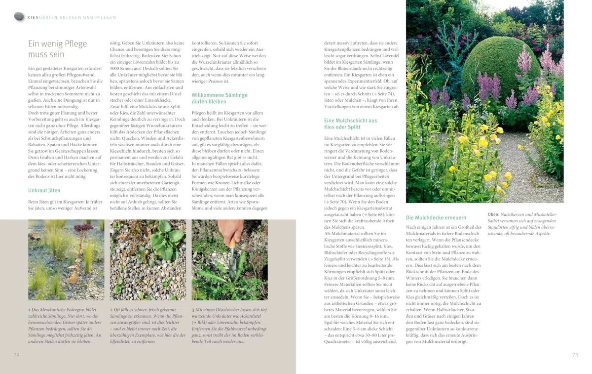 Blütenpracht ohne Gießen: Ganzjährig attraktive Beete bei Hitze und Trockenheit (GU Gartengestaltung)