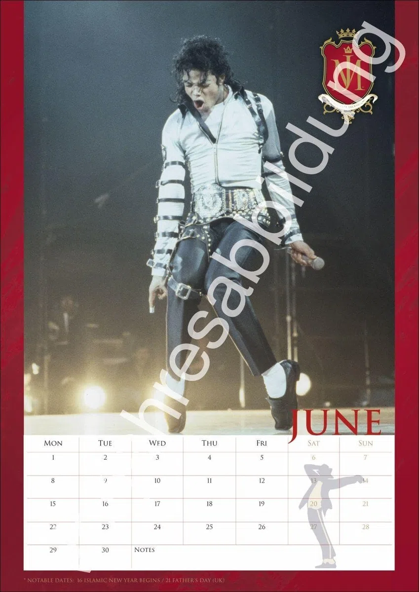 Michael Jackson Posterkalender 2027: Musikalische Begleitung durch das ganze Jahr mit der Pop-Legende Michael Jackson als Wandkalender.
