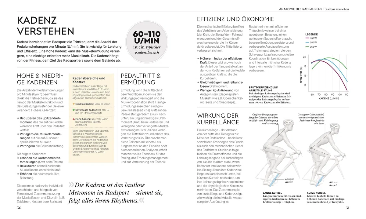 Radsport – die Anatomie verstehen: Mit Übungen für mehr Ausdauer, Kraft und eine bessere Technik