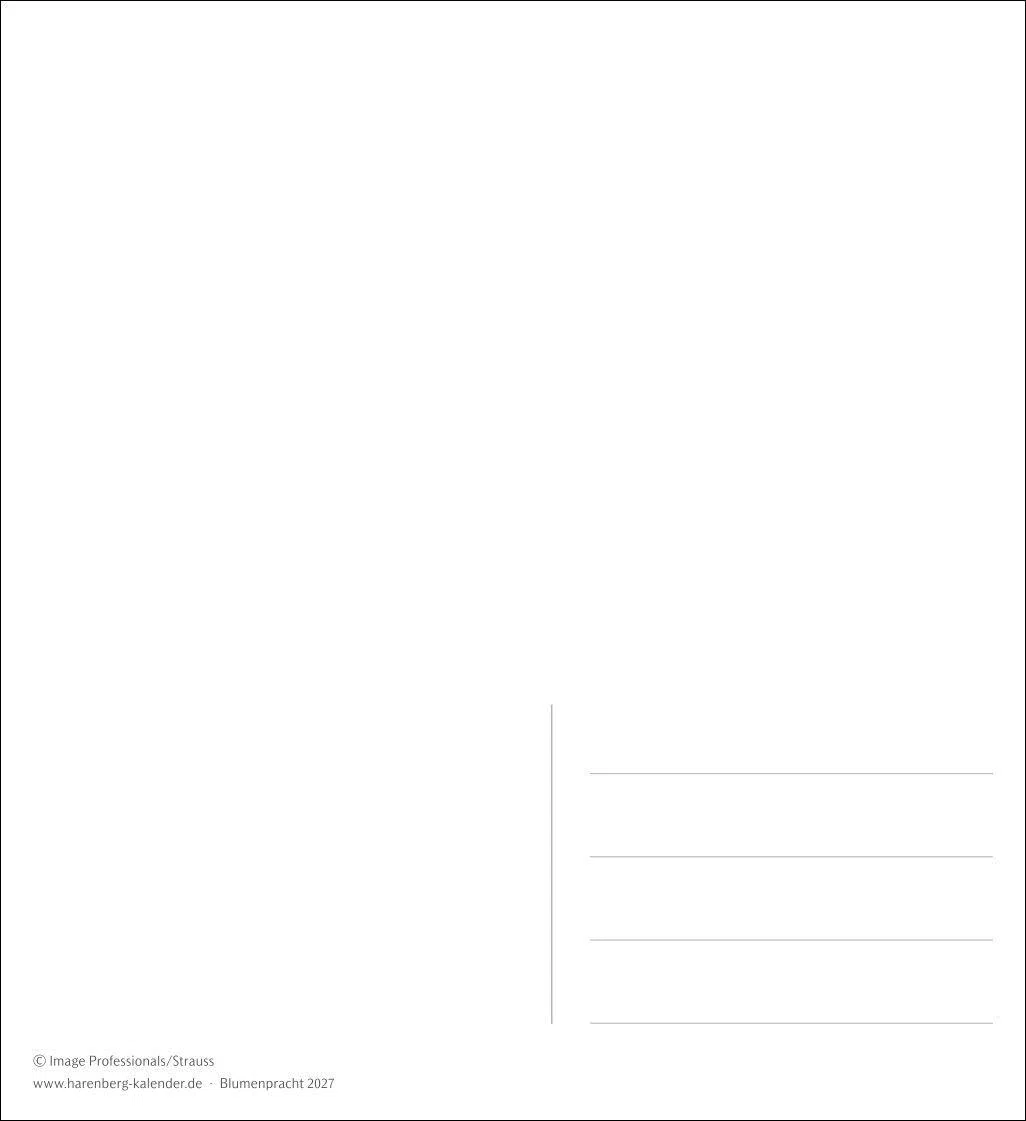 Blumenpracht Postkartenkalender 2027 - Wochenkalender mit 53 Postkarten: Kalender mit 53 traumhaften Fotos von Blumensträußen und Blüten. Blumen-Kalender 2027 mit Postkarten