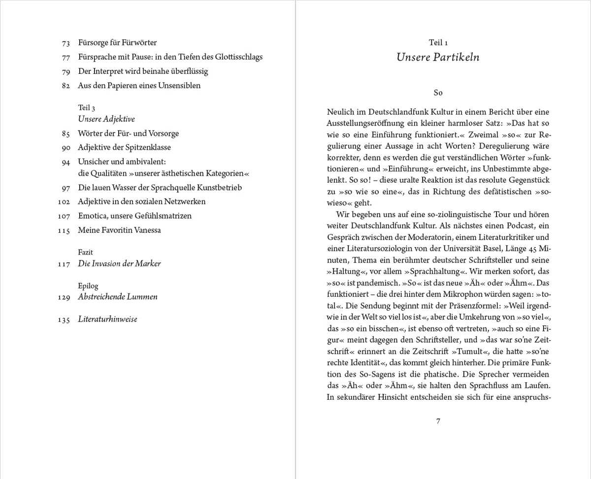 Irgendwie so total spannend: Unser schöner neuer Sprachgebrauch (Essays)