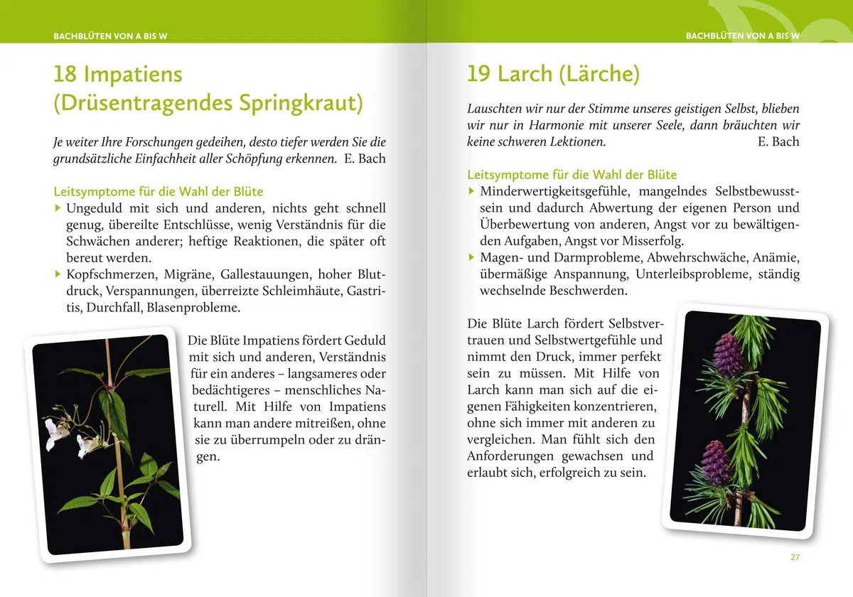 Heilen mit Bachblüten. Das Kartenset. Mit 42 Bachblüten-Karten und 46-seitigem Booklet