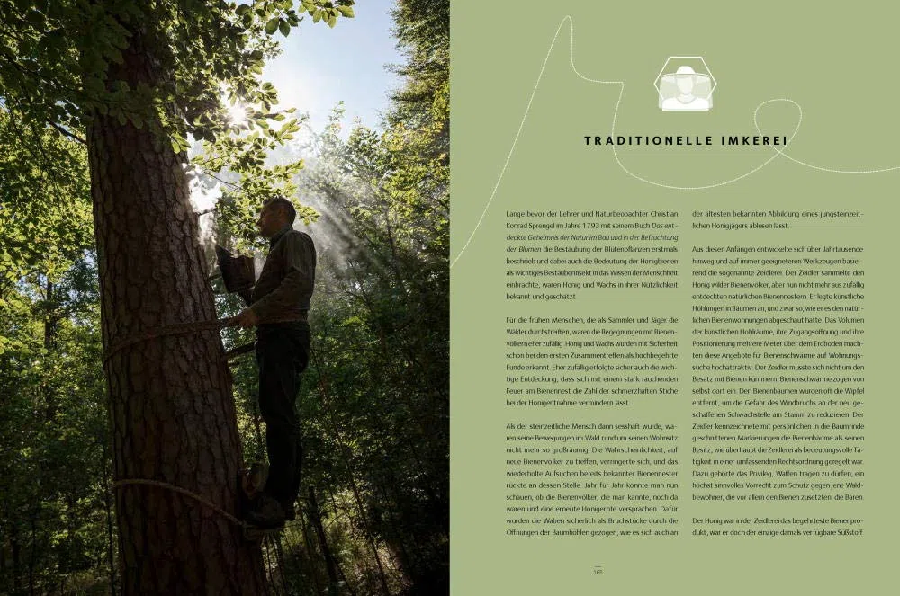Honigbienen - Geheimnisvolle Waldbewohner: Bildband Naturfotograie