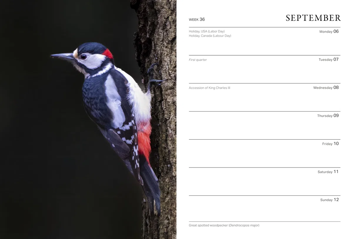 RHS Wild in the Garden Diary 2027