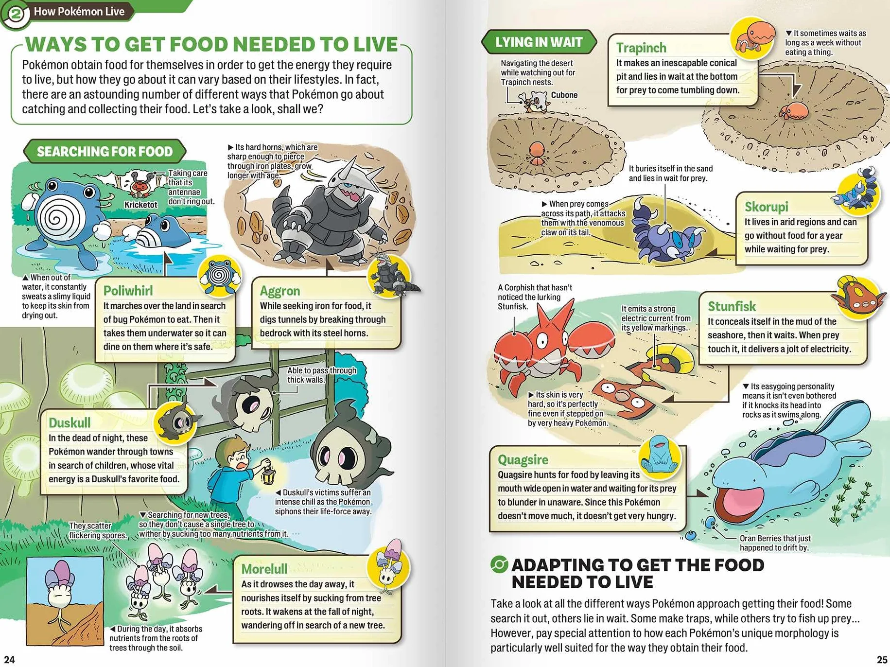 Pokécology An Illustrated Guide to Pokémon Ecology (Pokemon Pikachu Press)