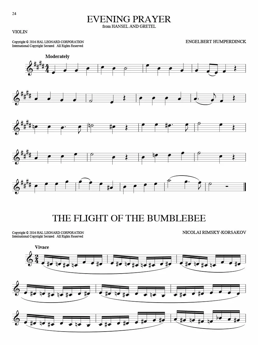 101 Classical Themes für Violine Solo | Klassische Musik Notenbuch für Violinisten | Große Sammlung für Anfänger und Fortgeschrittene | Violine ... Noten, Sammelband für Violine (VIOLON)