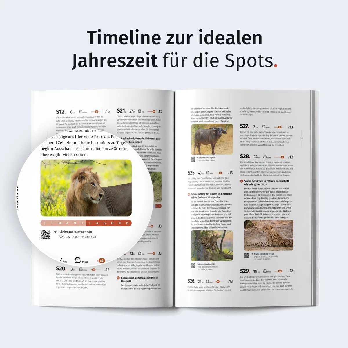 WILDFUL STORIES Kruger Park Guide: Detaillierte Parkkarten für Selbstfahrer mit Streckenbewertungen und konkreten Spots für unvergessliche Safaris (inkl. App) (Park Guides)