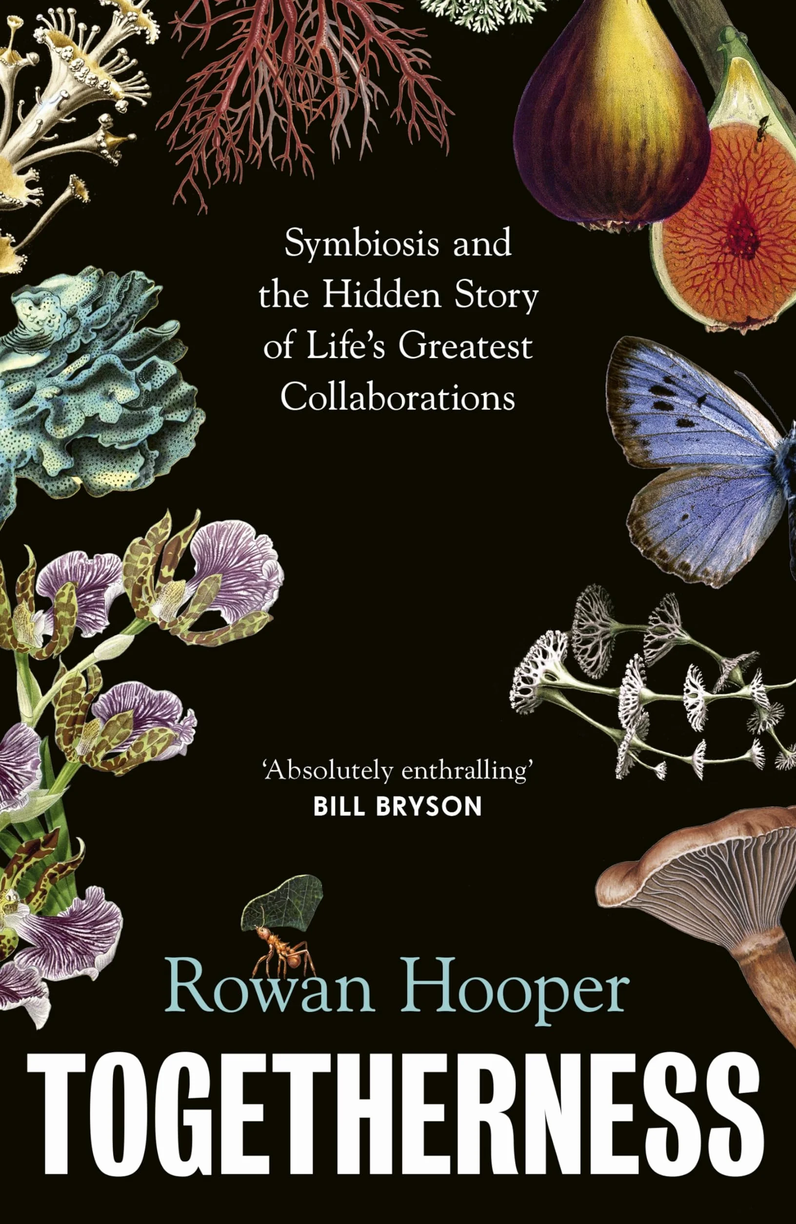 Togetherness: How symbiosis can change the way we understand our world, ourselves and our future