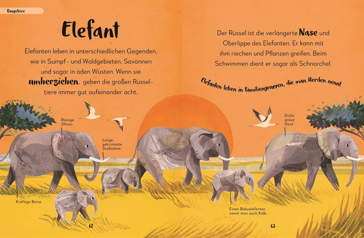 Mein liebstes Buch der Tiere: Von Zebra, Oktopus und Papagei: 100 Tiere entdecken. Ein wunderschönes erstes Tierbilderbuch. Für Kinder ab 3 Jahren