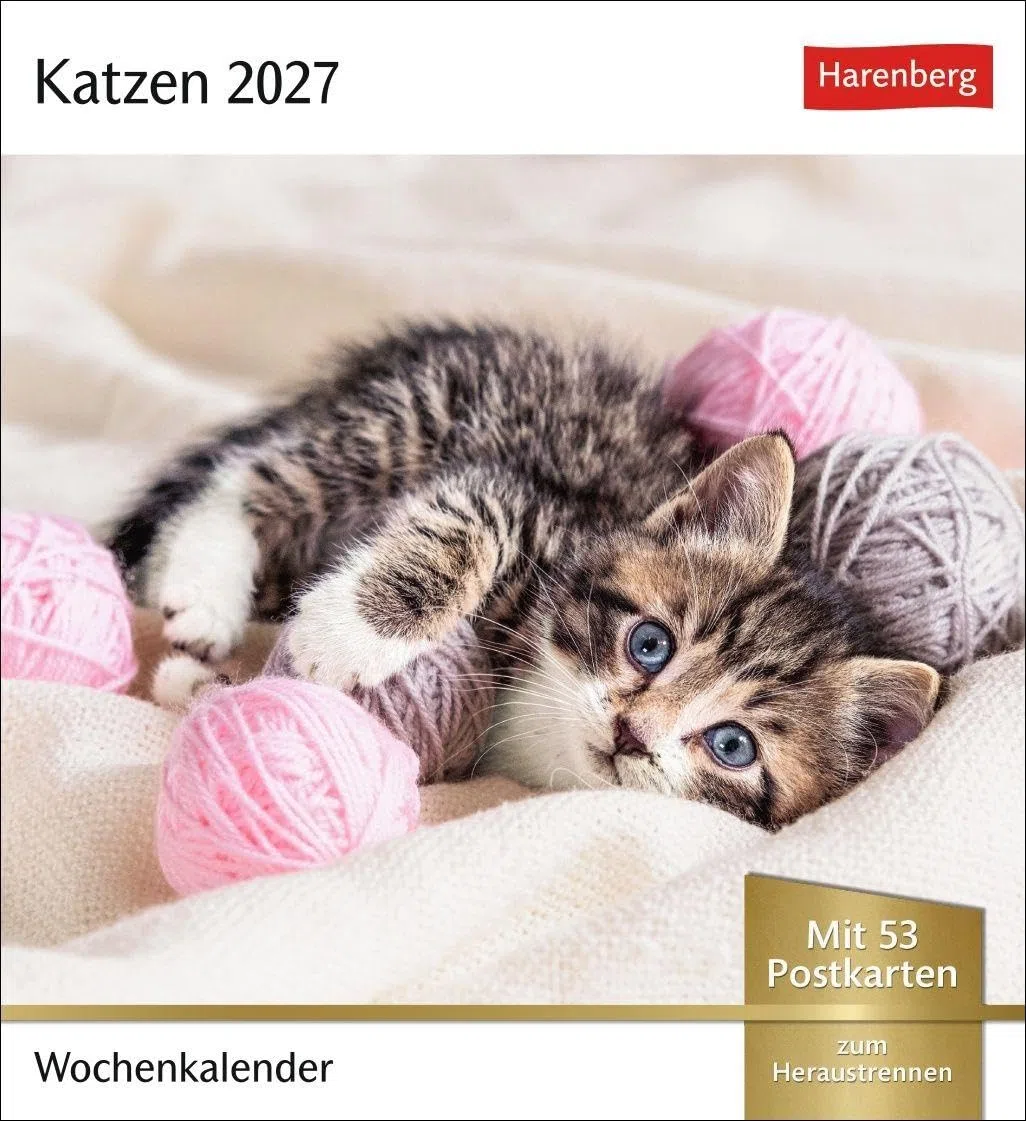 Katzen Postkartenkalender 2027 - Wochenkalender mit 53 Postkarten: Jede Woche ein süßes Kätzchen im Postkarten-Fotokalender. Tischkalender für Katzenfans
