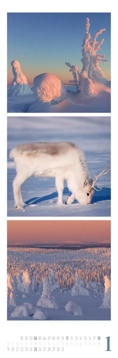 Nature Triplet-Kalender 2026 | Stilvoller Natur-Kalender im schlanken Hochformat (33x100 cm) | Triplet-Fotografie im Premium-Format