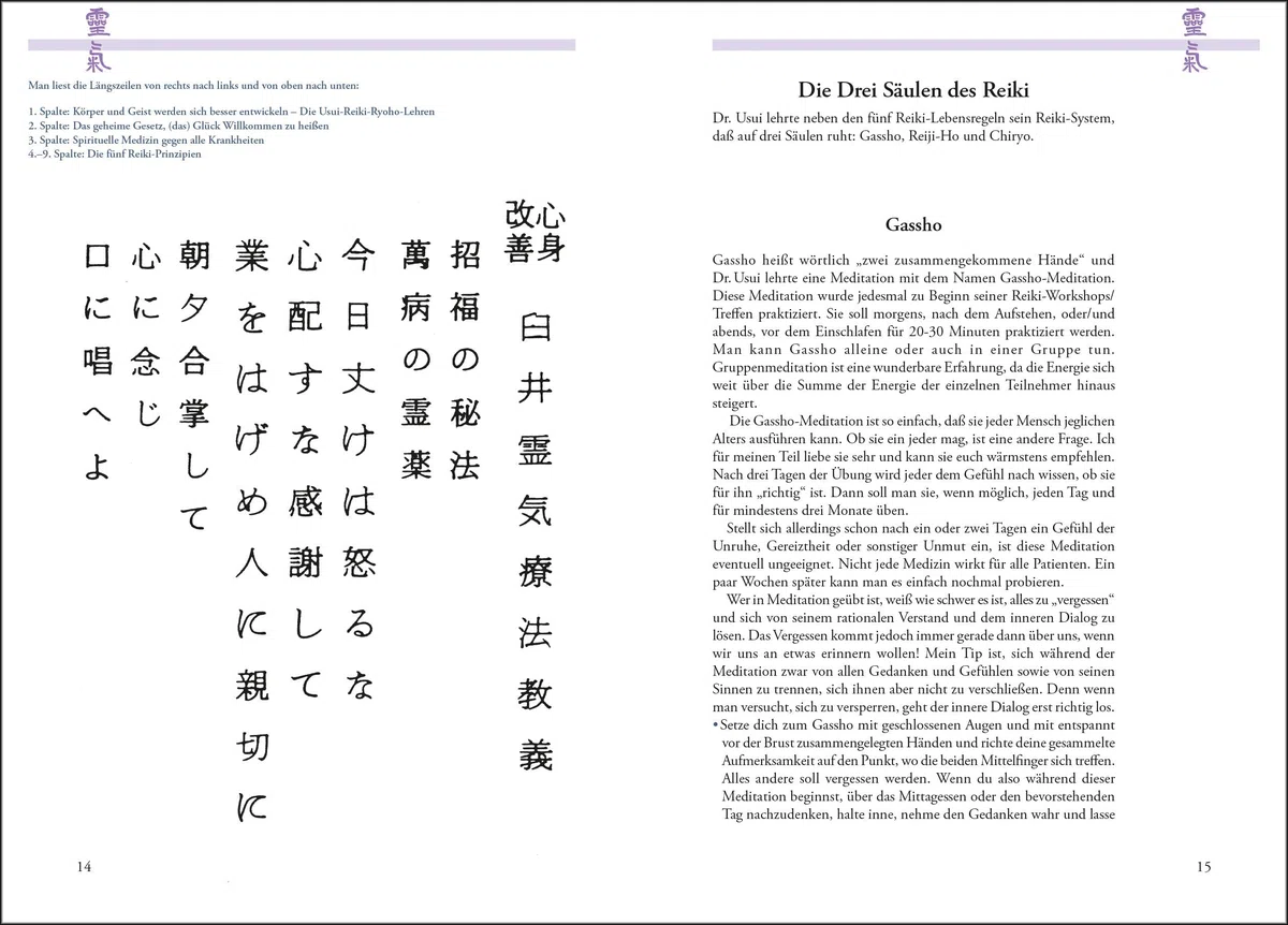 Original Reiki-Handbuch des Dr. Mikao Usui: Alle Usui-Behandlungspositionen und Reiki-Techniken für Gesundheit und Wohlbefinden - Mit vielen Fotos