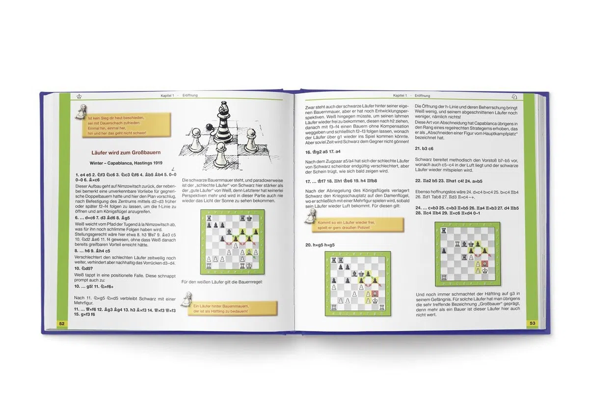 Starke Bauernregeln: Die ungeschriebenen Gesetze des Schachspiels in über 200 gereimten Eselsbrücken und Faustregeln. Das Buch zur DVD von ChessBase (Praxis Schach, Band 80)